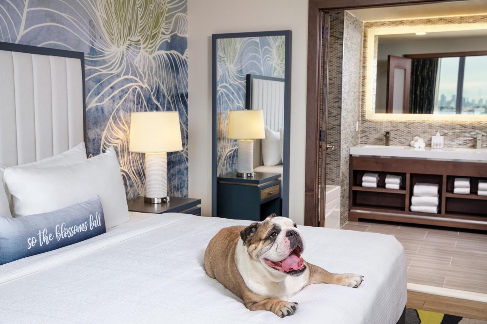 ניו יורק Hotel Indigo Flushing - Laguardia מראה חיצוני תמונה